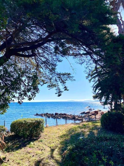 Studio Bord De Mer Boulouris A Saint Raphael Saint-Raphael (Var) Exterior foto